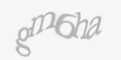 Защитный код